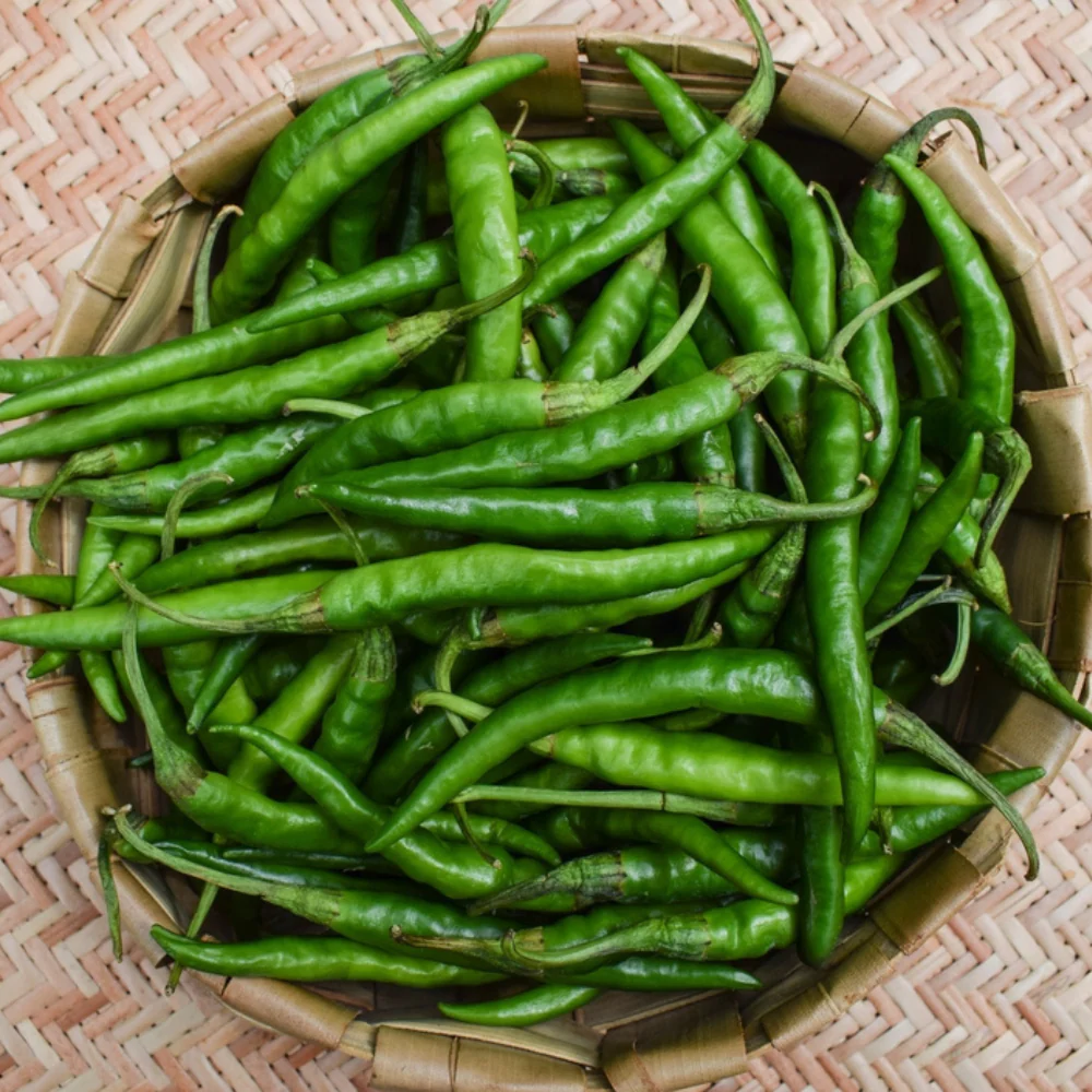 Green Chilli